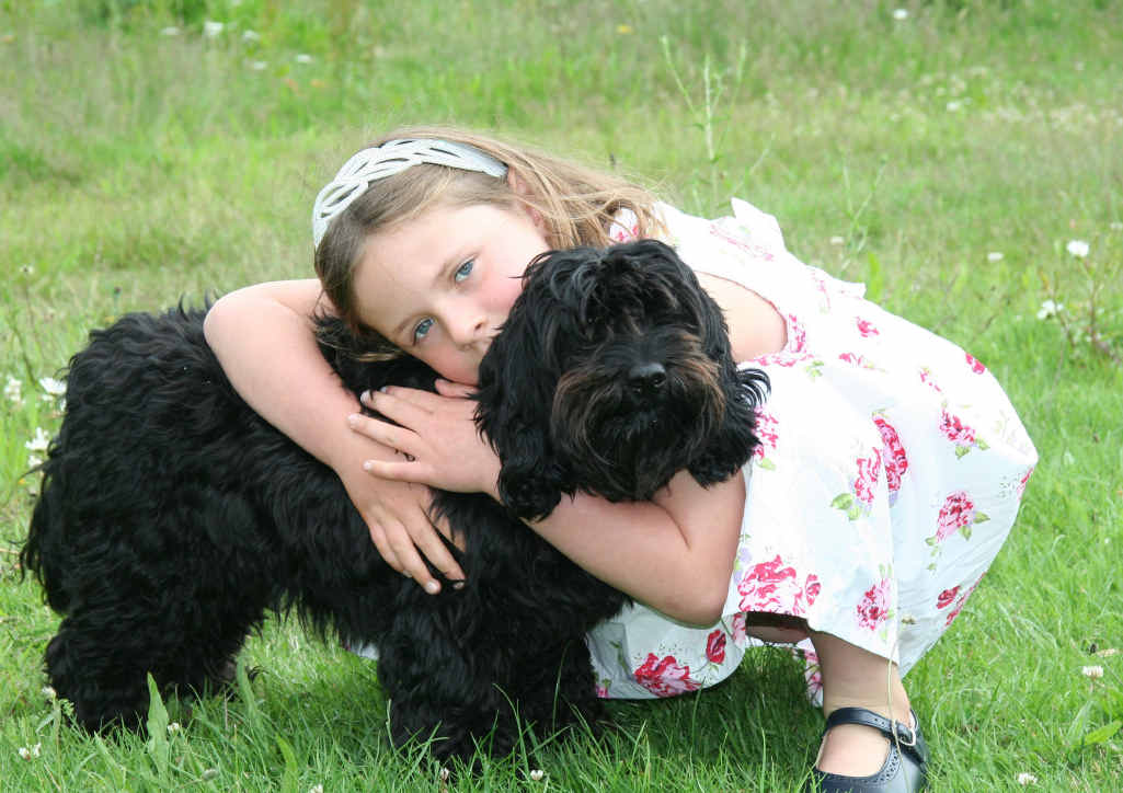 DEVASTATED: Olivia O’Neil and her family have been traumatised by the death of Tiller, the five-year-old poodle-spaniel. DEVASTATED: Olivia O’Neil and her family have been traumatised by the death of Tiller, the five-year-old poodle-spaniel.